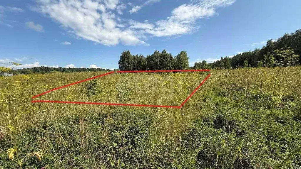 Участок в Башкортостан, Бирский район, Сусловский сельсовет, с. ... - Фото 0