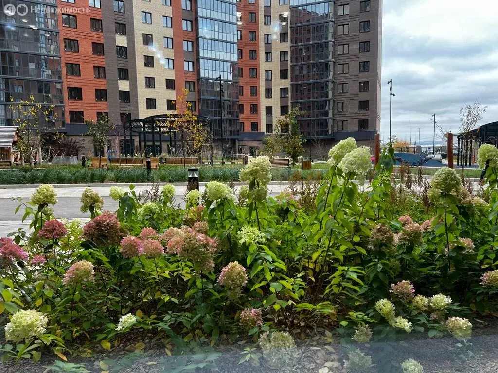 1-комнатная квартира: Красноярск, улица Академгородок, 76 (37 м) - Фото 2