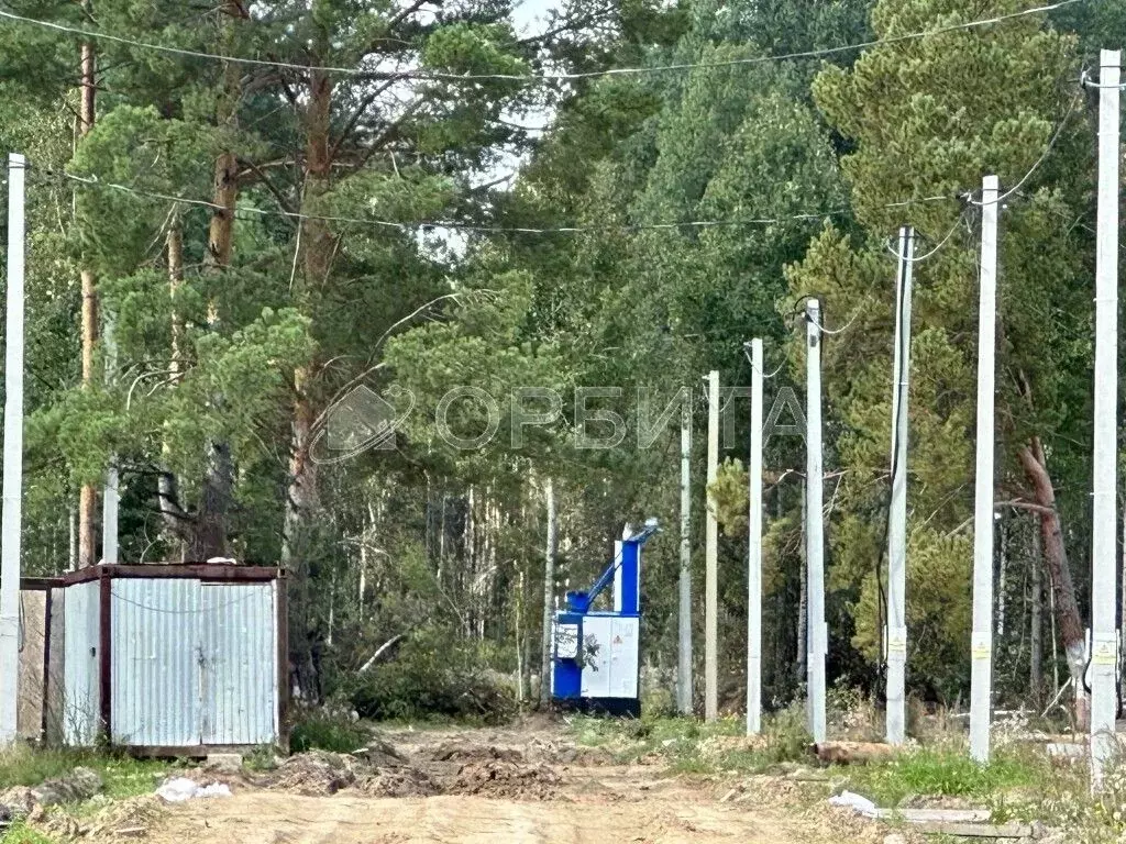 Участок в Тюменская область, Нижнетавдинский район, с. Тюнево  (8.0 ... - Фото 2