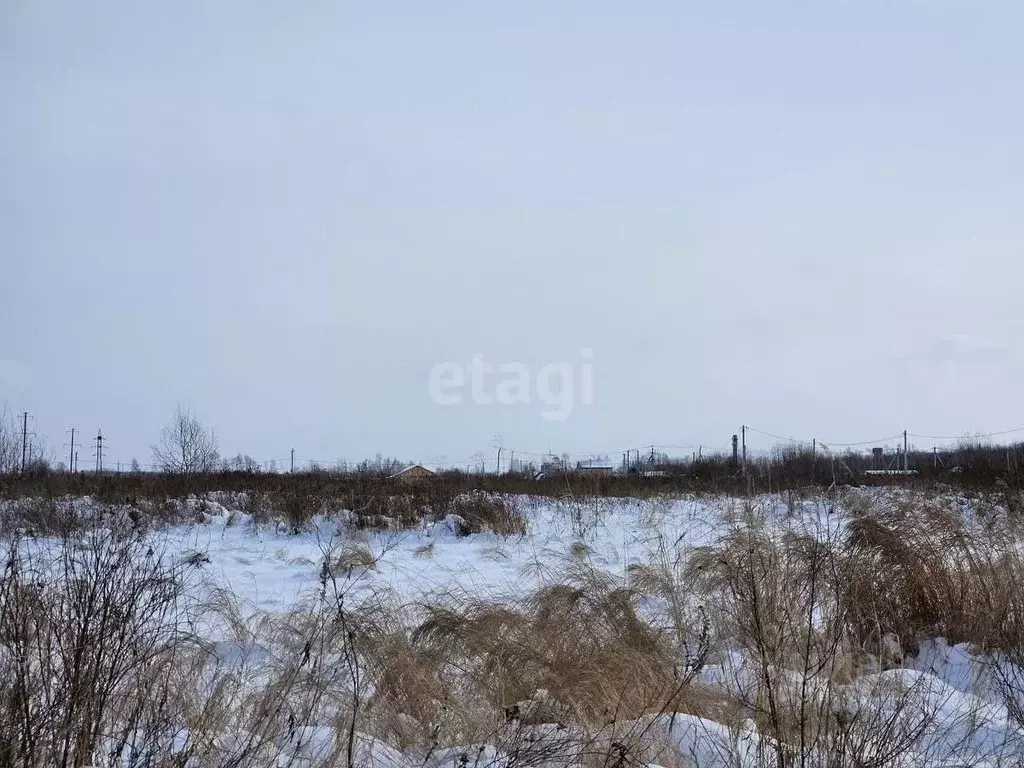 Участок в Хабаровский край, Хабаровский район, с. Восточное  (12.0 ... - Фото 2