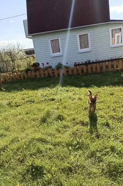 Дом в Ярославская область, Ярославль Текстильщик-2 садовое ... - Фото 1