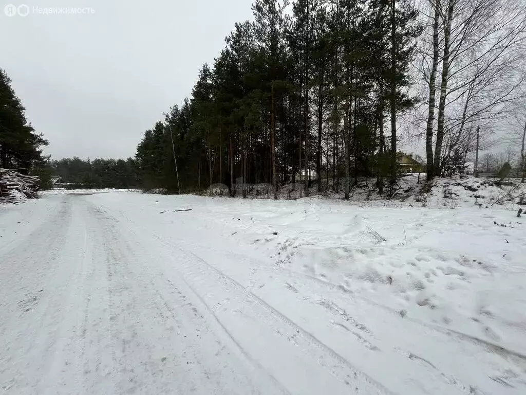 Участок в городской посёлок Будогощь, улица Гоголя (15.63 м) - Фото 0