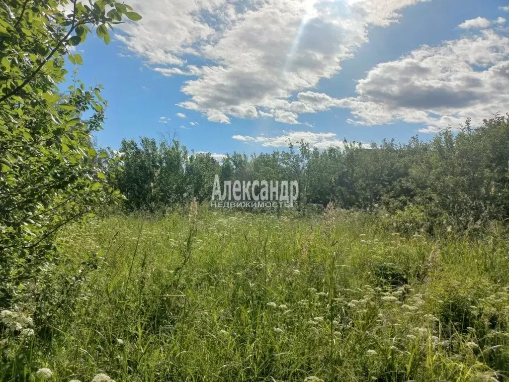 Участок в Ленинградская область, Приозерский район, Ларионовское ... - Фото 1