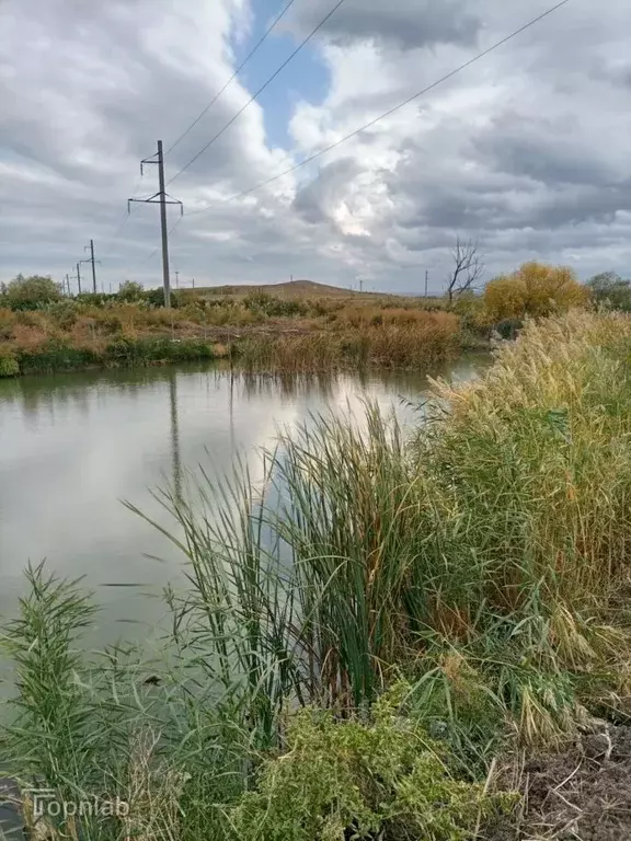 Участок в Ставропольский край, Шпаковский муниципальный округ, пос. ... - Фото 1