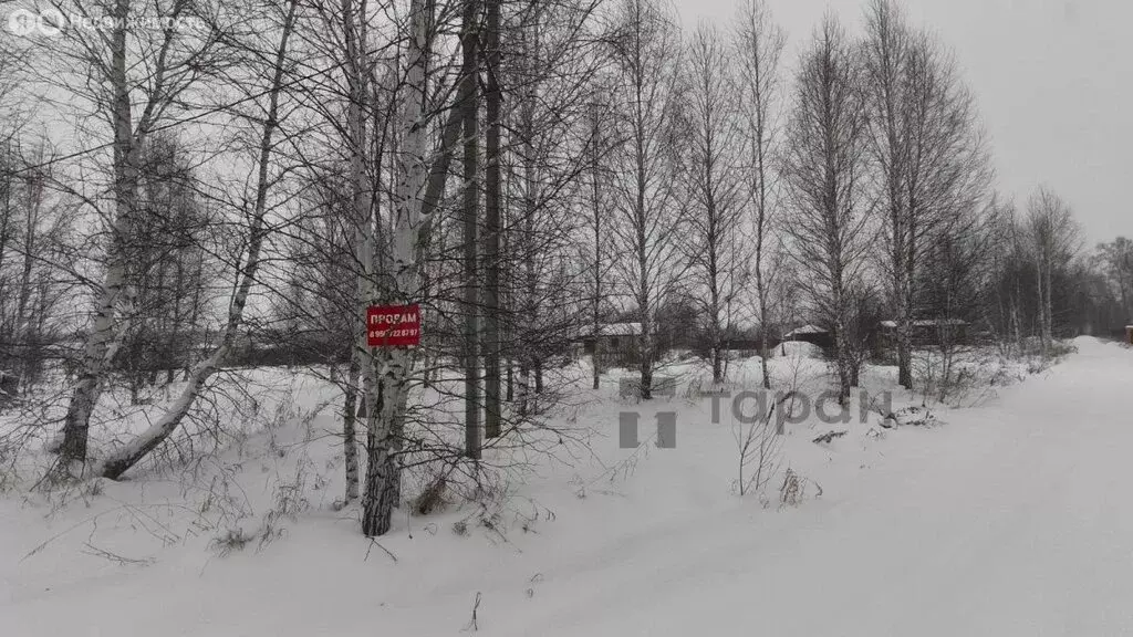 Участок в Челябинская область, Сосновский муниципальный округ, деревня ... - Фото 2