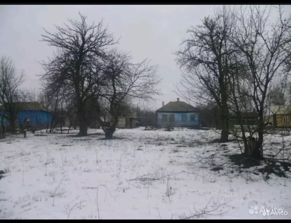 Дом в Воронежская область, Хохольский район, с. Гремячье Октябрьская ... - Фото 1