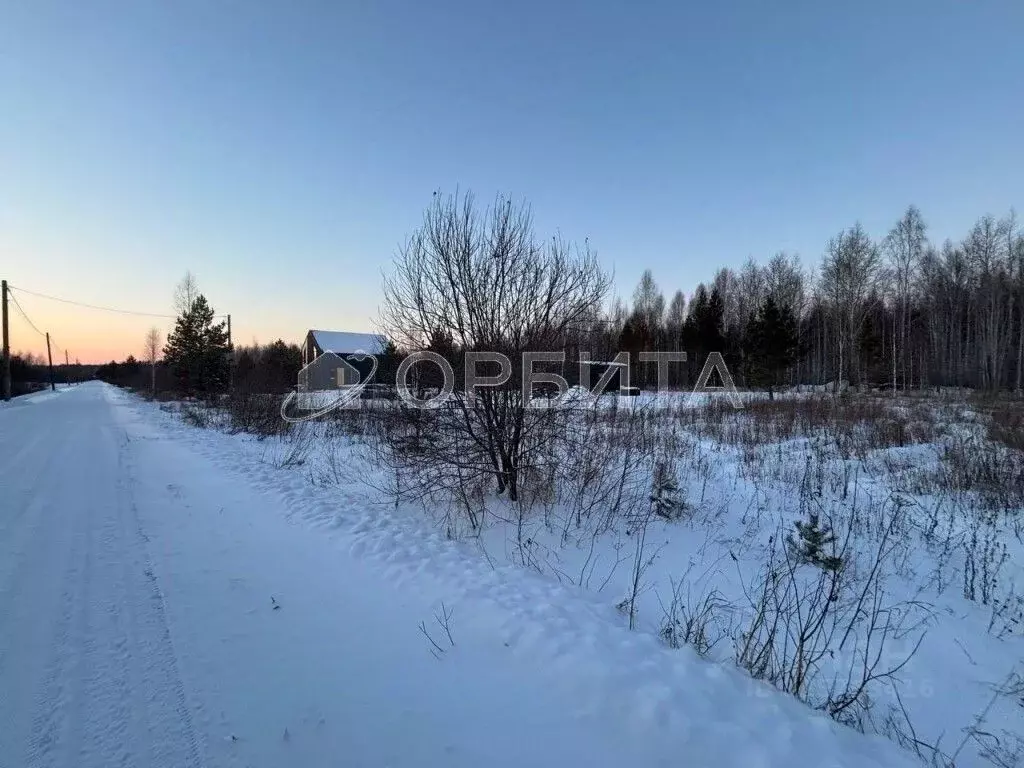 Участок в Тюменская область, Нижнетавдинский муниципальный округ, ... - Фото 2