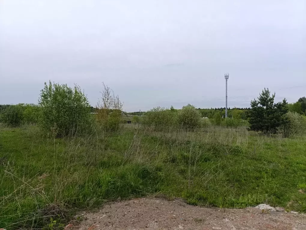 Участок в Калужская область, Малоярославецкий муниципальный округ, ... - Фото 2