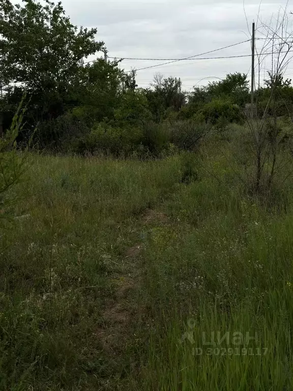 Участок в Волгоградская область, Городищенское городское поселение, ... - Фото 1