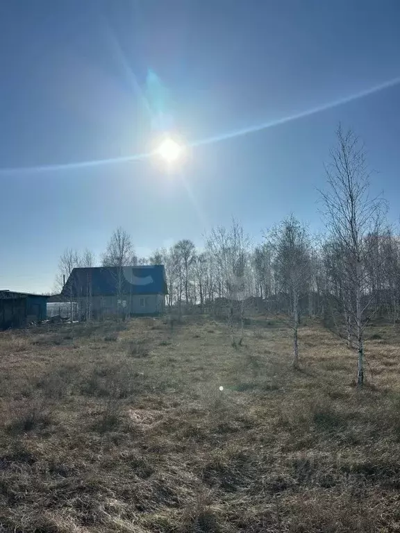 Дом в Новосибирская область, Искитимский район, с. Улыбино ул. ... - Фото 2