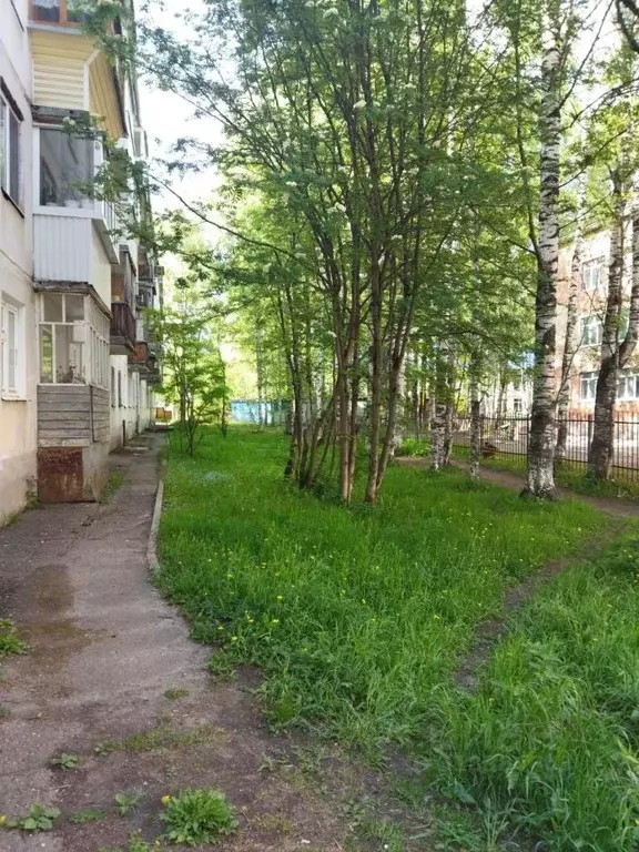 2-к кв. Коми, Сыктывкар Октябрьский просп., 76 (46.0 м) - Фото 1