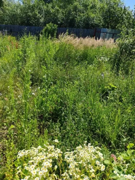 Участок в Московская область, Луховицы СНТ Южное тер., 418 (4.2 сот.) - Фото 2