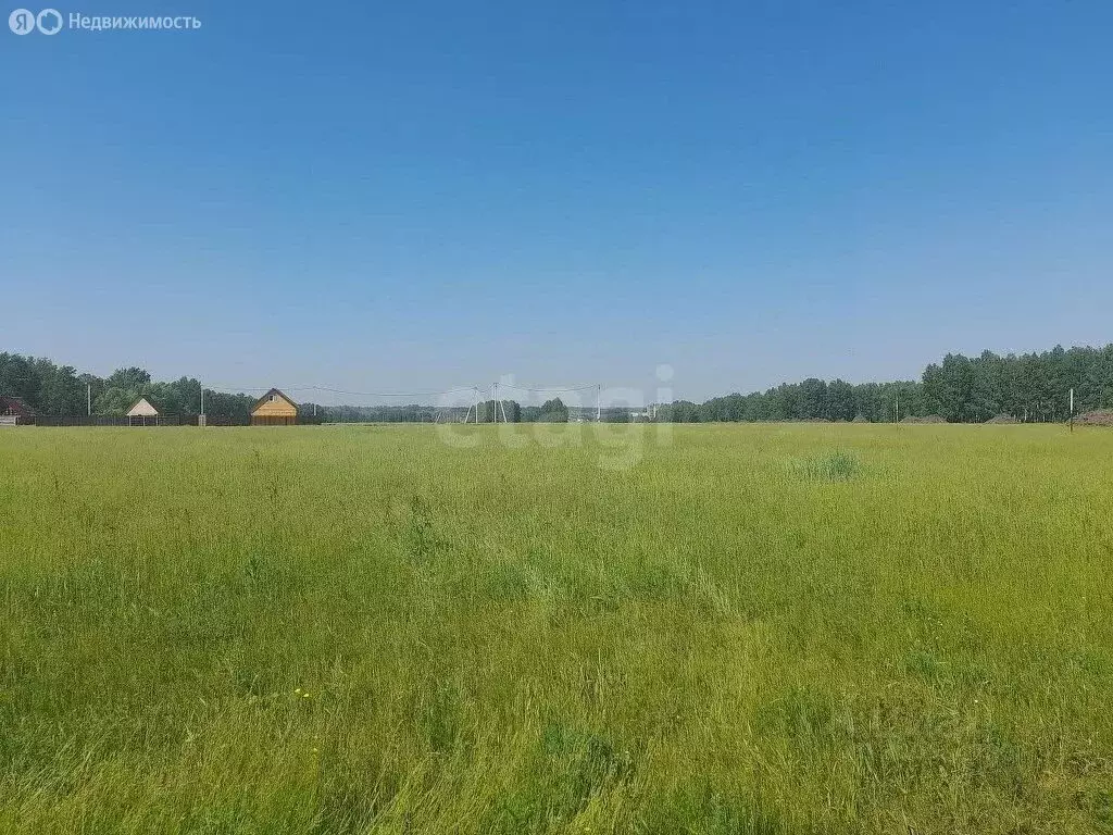 Участок в Новосибирский район, Морской сельсовет, ТСН Ближняя Дача, ... - Фото 0