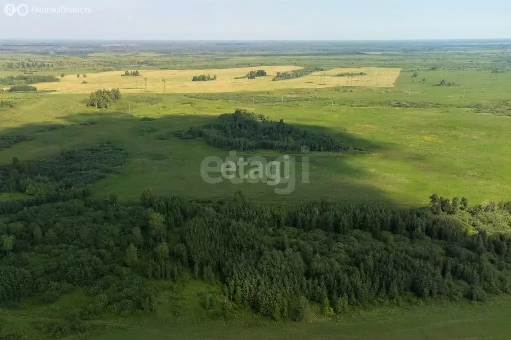 Участок в Тюменский район, село Яр (6 м) - Фото 0