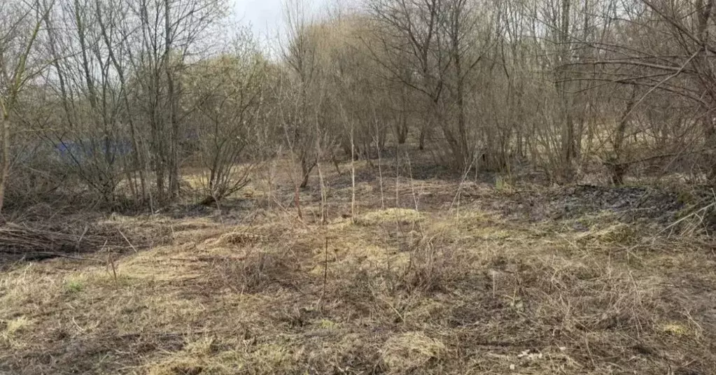 Участок в Московская область, Серпухов городской округ, д. Бутурлино  ... - Фото 1