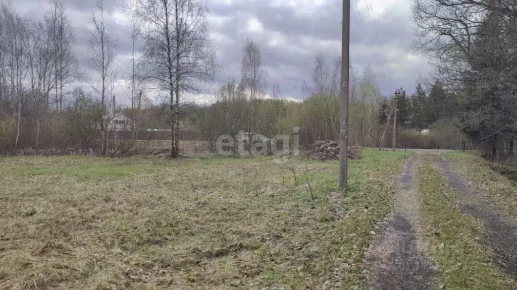 Участок в Воронежская область, Воронеж Дубрава СНТ, ул. Березовая, 180 ... - Фото 0