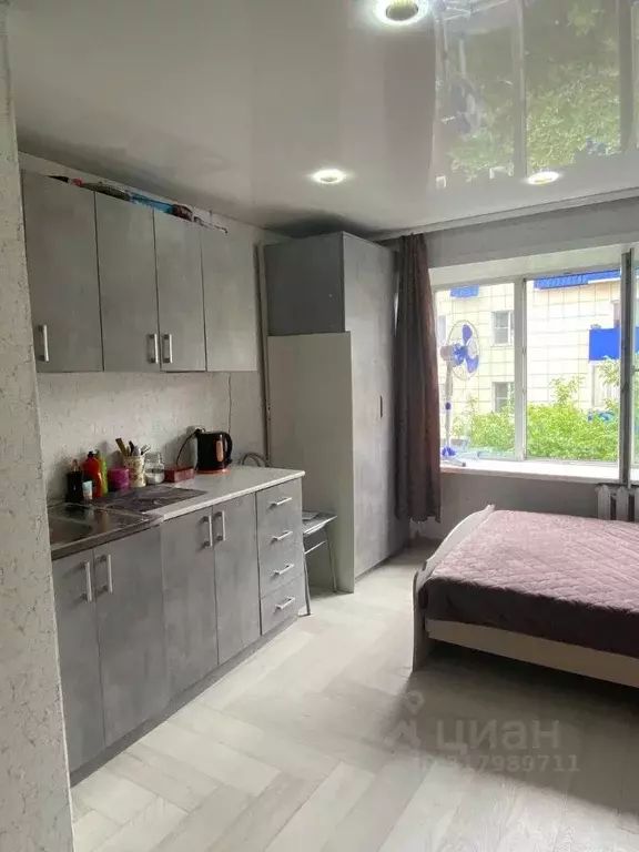 Студия Алтай, Горно-Алтайск ул. Ленина, 14 (18.0 м) - Фото 0