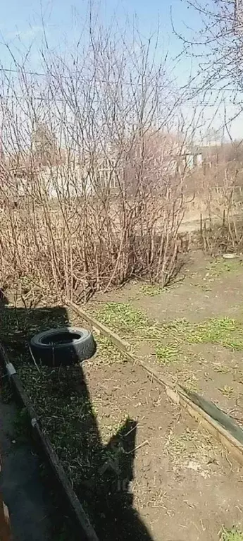 Участок в Челябинская область, Магнитогорск Машиностроитель садовое ... - Фото 0