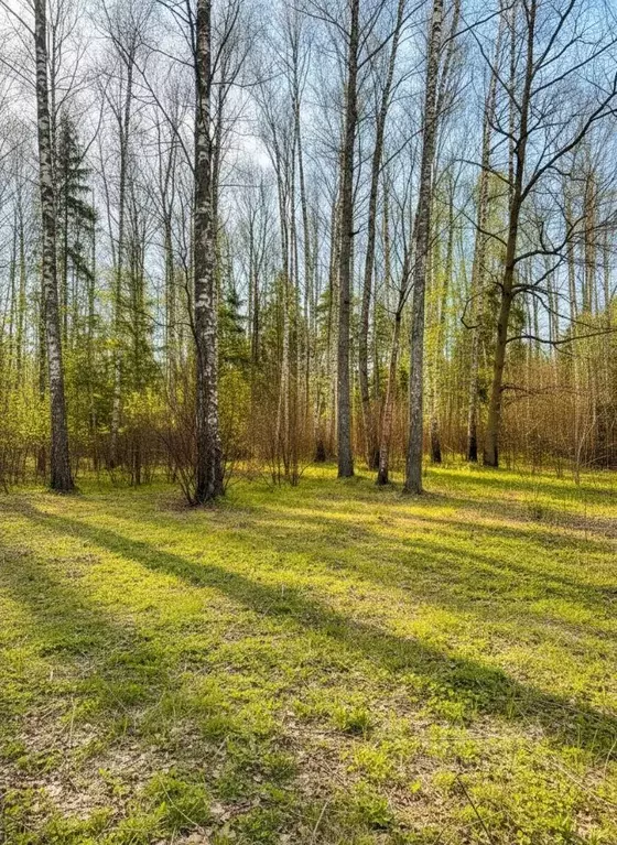 Участок в Московская область, Одинцовский городской округ, д. ... - Фото 1