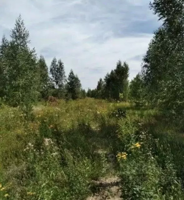 Участок в Липецкая область, Липецк Желтые Пески мкр,  (10.0 сот.) - Фото 1