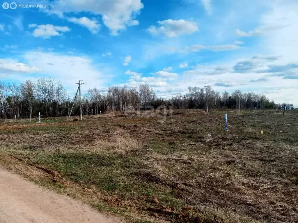 Участок в Нижегородская область, Богородский муниципальный округ, ... - Фото 0