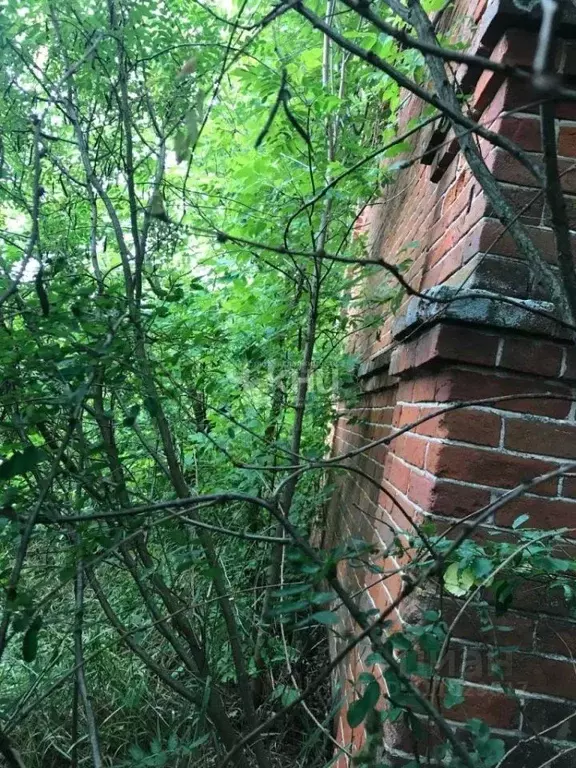 Дом в Нижегородская область, Шатковский муниципальный округ, с. Новое ... - Фото 2