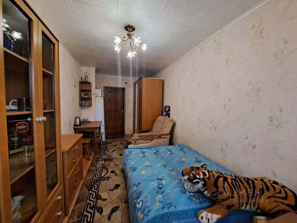 Комната Севастополь ул. Николая Музыки, 94А (18.5 м) - Фото 0