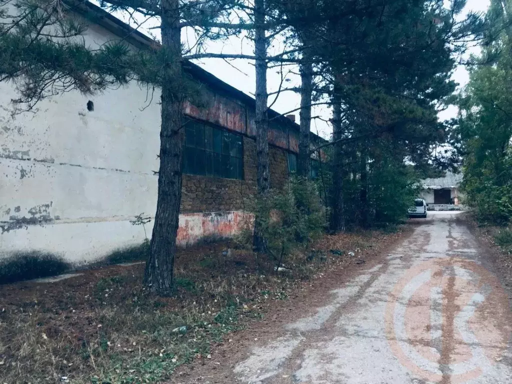Помещение свободного назначения в Крым, Саки ш. Евпаторийское, 86 ... - Фото 1