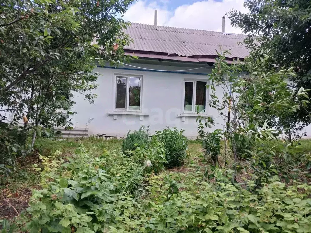 2-к кв. Белгородская область, Валуйский муниципальный округ, с. ... - Фото 2