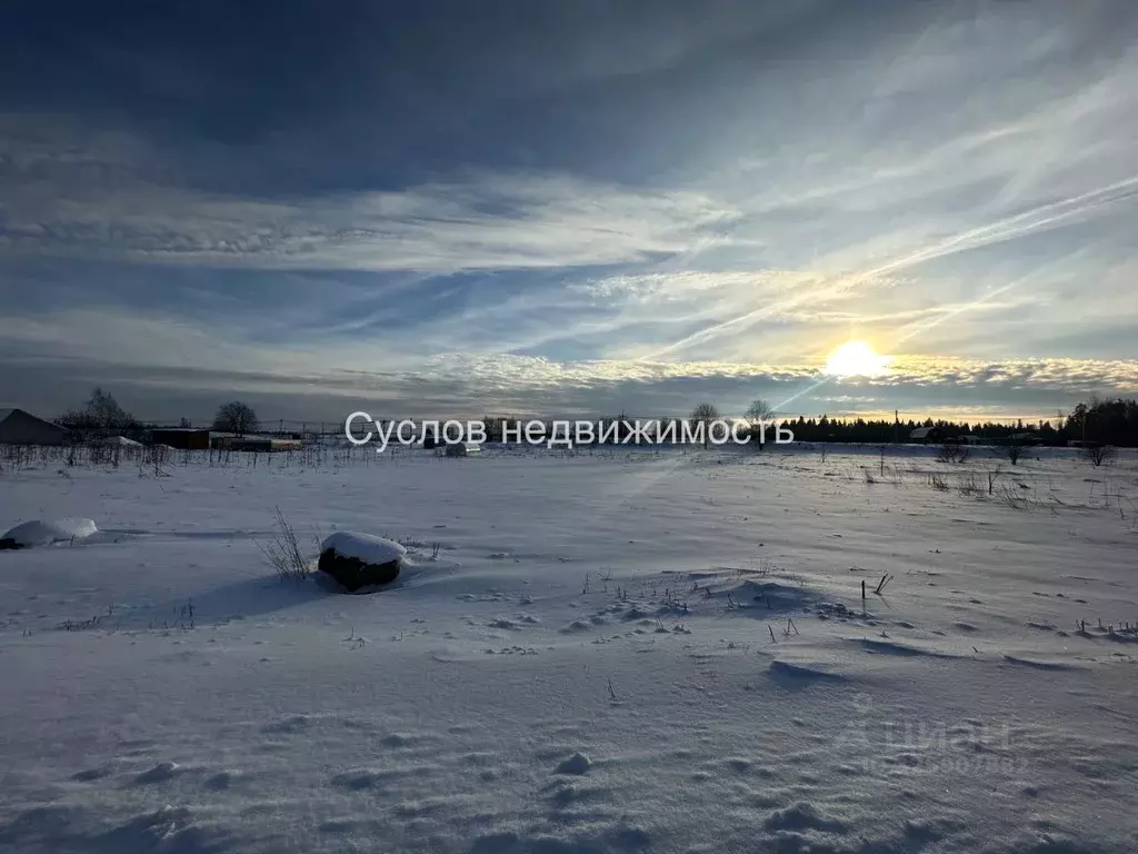 Участок в Ленинградская область, Ломоносовский район, Гостилицкое ... - Фото 1