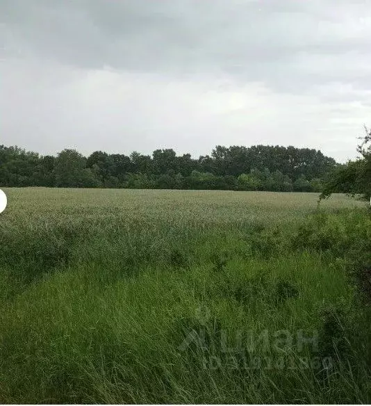 Участок в Краснодарский край, Северское с/пос, Бончковский хут. ул. ... - Фото 2