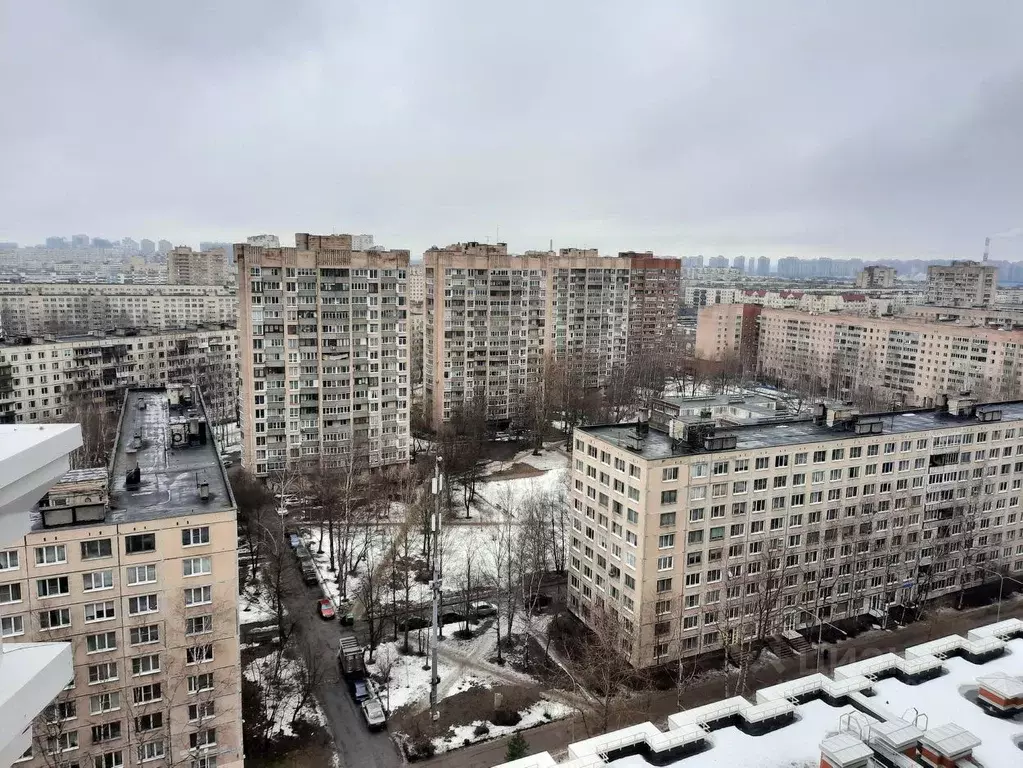 1-к кв. Санкт-Петербург ул. Кустодиева, 7к1 (46.2 м) - Фото 2