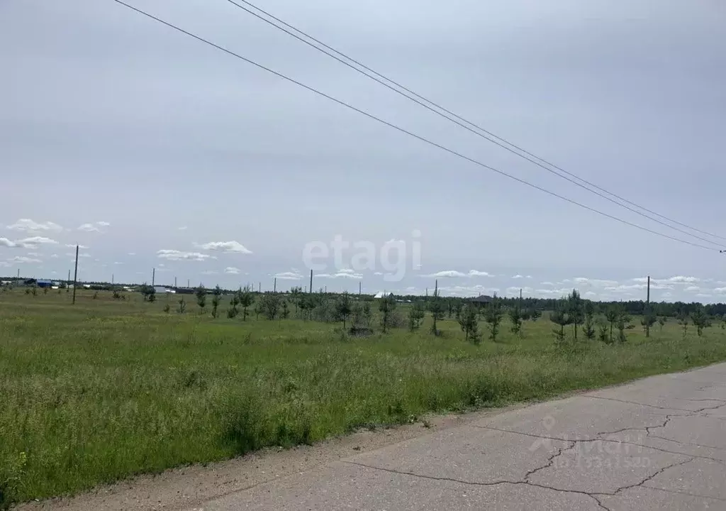 Участок в Ульяновская область, Чердаклинский район, Мирновское с/пос, ... - Фото 0