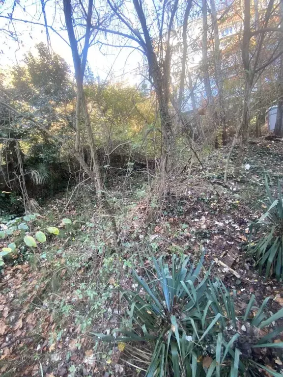 Участок в Краснодарский край, Сочи Вишневая ул. (7.0 сот.) - Фото 2