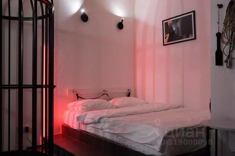 1-к кв. Санкт-Петербург Невский просп., 111/3 (25.0 м) - Фото 1