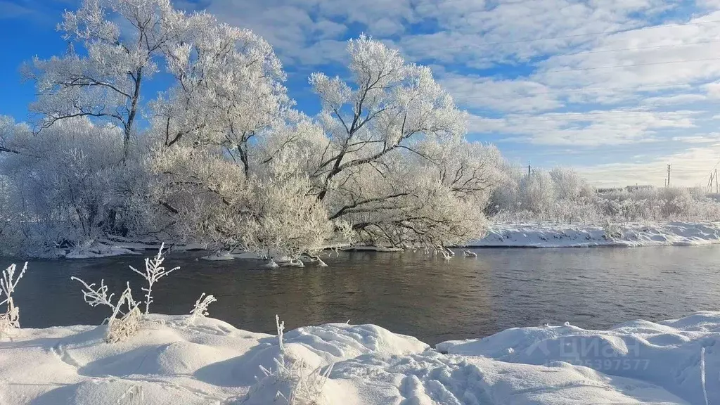Участок в Ленинградская область, Тосненский район, Федоровское ... - Фото 1