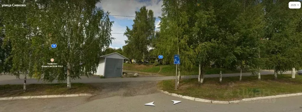 Свободной планировки кв. Пермский край, Чусовой ул. Сивкова, 16 (52.1 ... - Фото 1