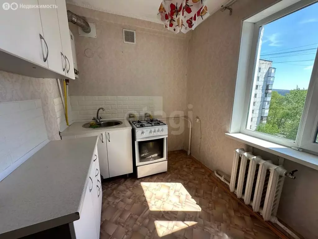1-комнатная квартира: Златоуст, улица Степана Разина, 16А (28.4 м) - Фото 1