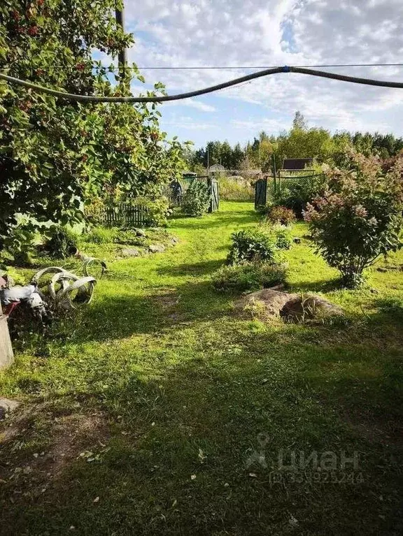 Дом в Новгородская область, Великий Новгород Одуванчик СТ, 103 (25 м) - Фото 1