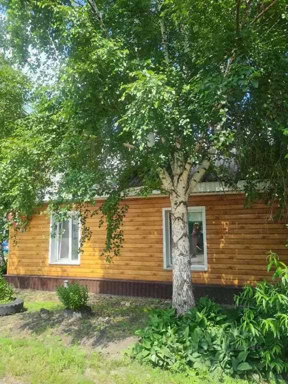 Дом в Омская область, Омск пос. Амурский, ул. Арсеньева, 14/10 (95 м) - Фото 1
