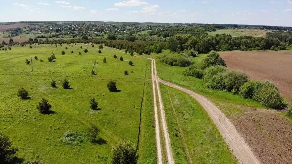 Участок в Тульская область, Заокский район, Малаховское с/пос, д. ... - Фото 2