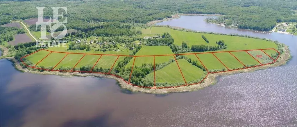 Участок в Ярославская область, Угличский муниципальный округ, д. ... - Фото 1