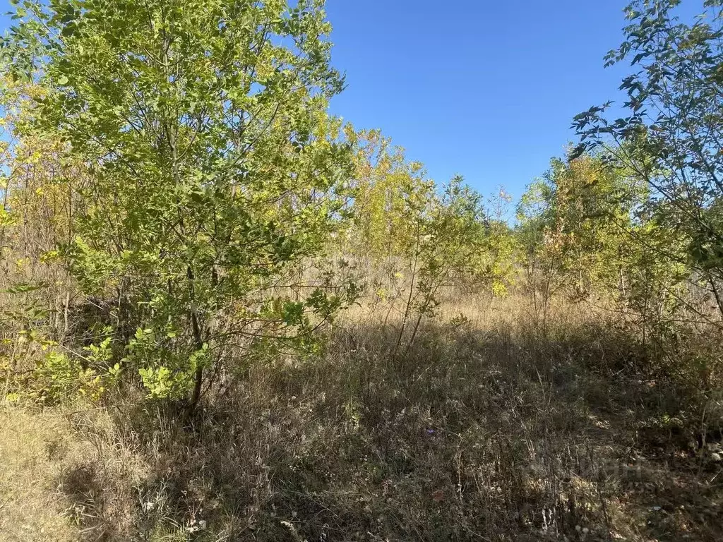 Участок в Белгородская область, Белгородский район, Дубовское с/пос, ... - Фото 1