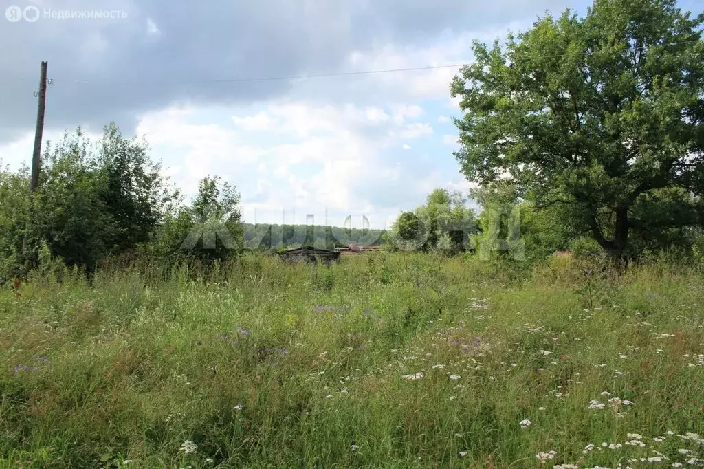 Участок в Репьевский сельсовет, деревня Шмаково, Центральная улица ... - Фото 0