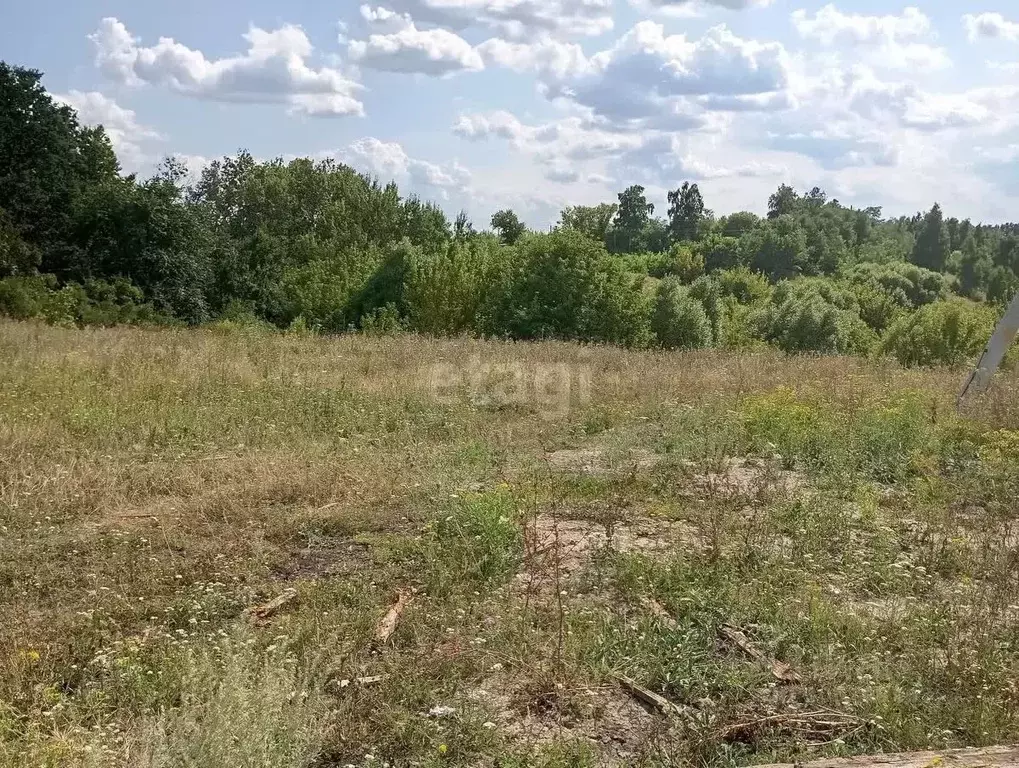 Участок в Белгородская область, Белгородский район, Дубовское с/пос, ... - Фото 1