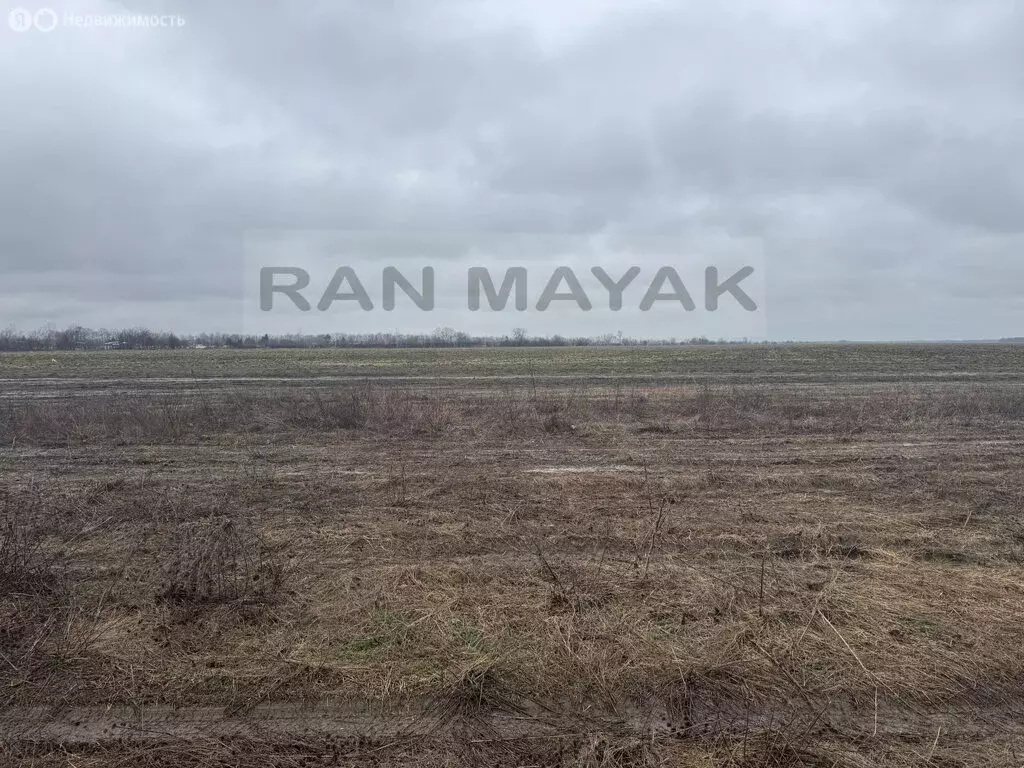 Участок в Майкоп, улица Маршала Толбухина (6.43 м) - Фото 1