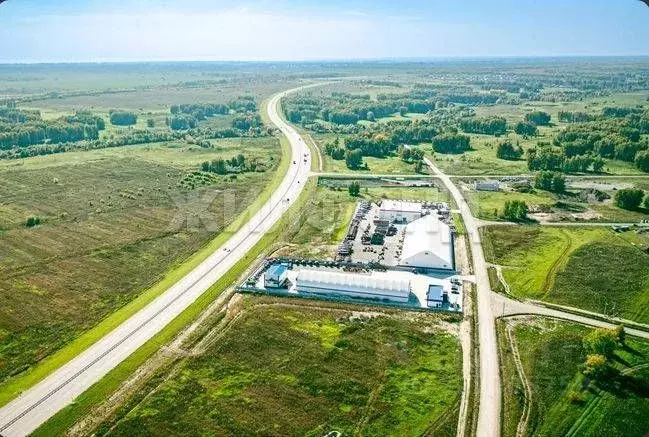 Участок в Новосибирская область, Новосибирский район, с. Верх-Тула ул. ... - Фото 1