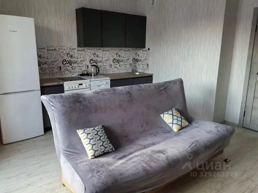 Студия Челябинская область, Челябинск ул. Маршала Чуйкова, 28 (24.2 м) - Фото 2