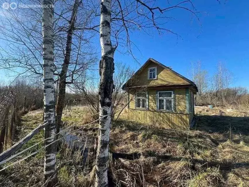Участок в Новгородский муниципальный район, Панковское городское ... - Фото 2
