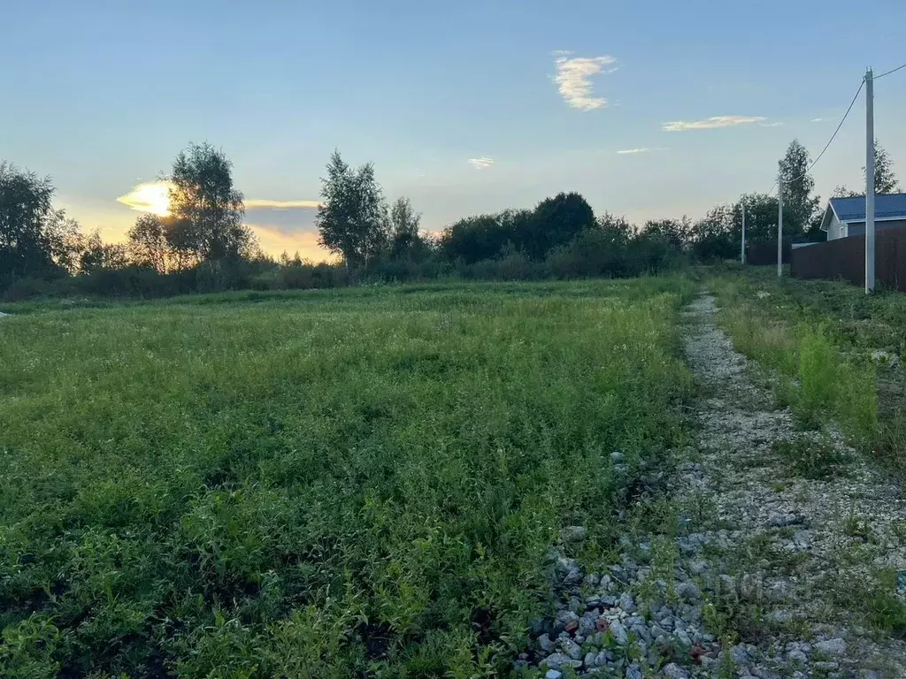 Участок в Ленинградская область, Гатчинский муниципальный округ, д. ... - Фото 2